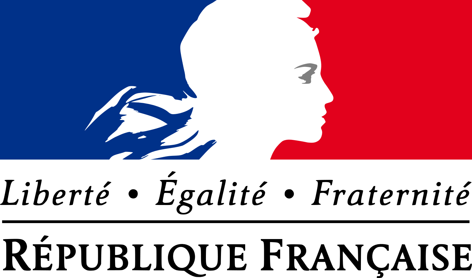 Logo Etat français